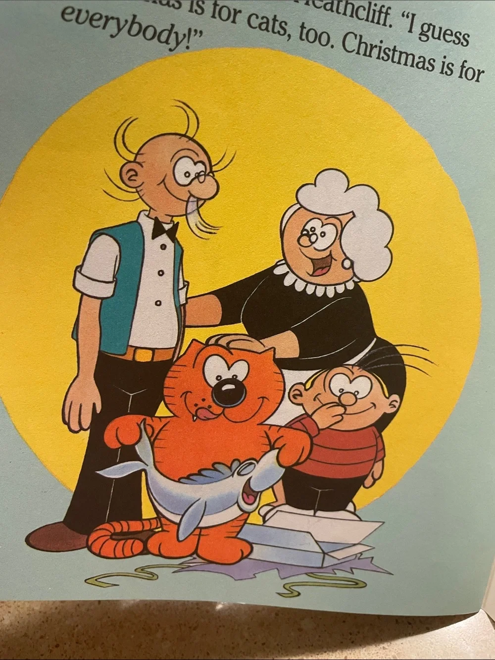 Heathcliff’s Night Before Christmas Book